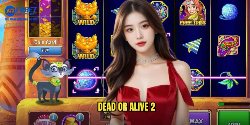 Dead or Alive 2
